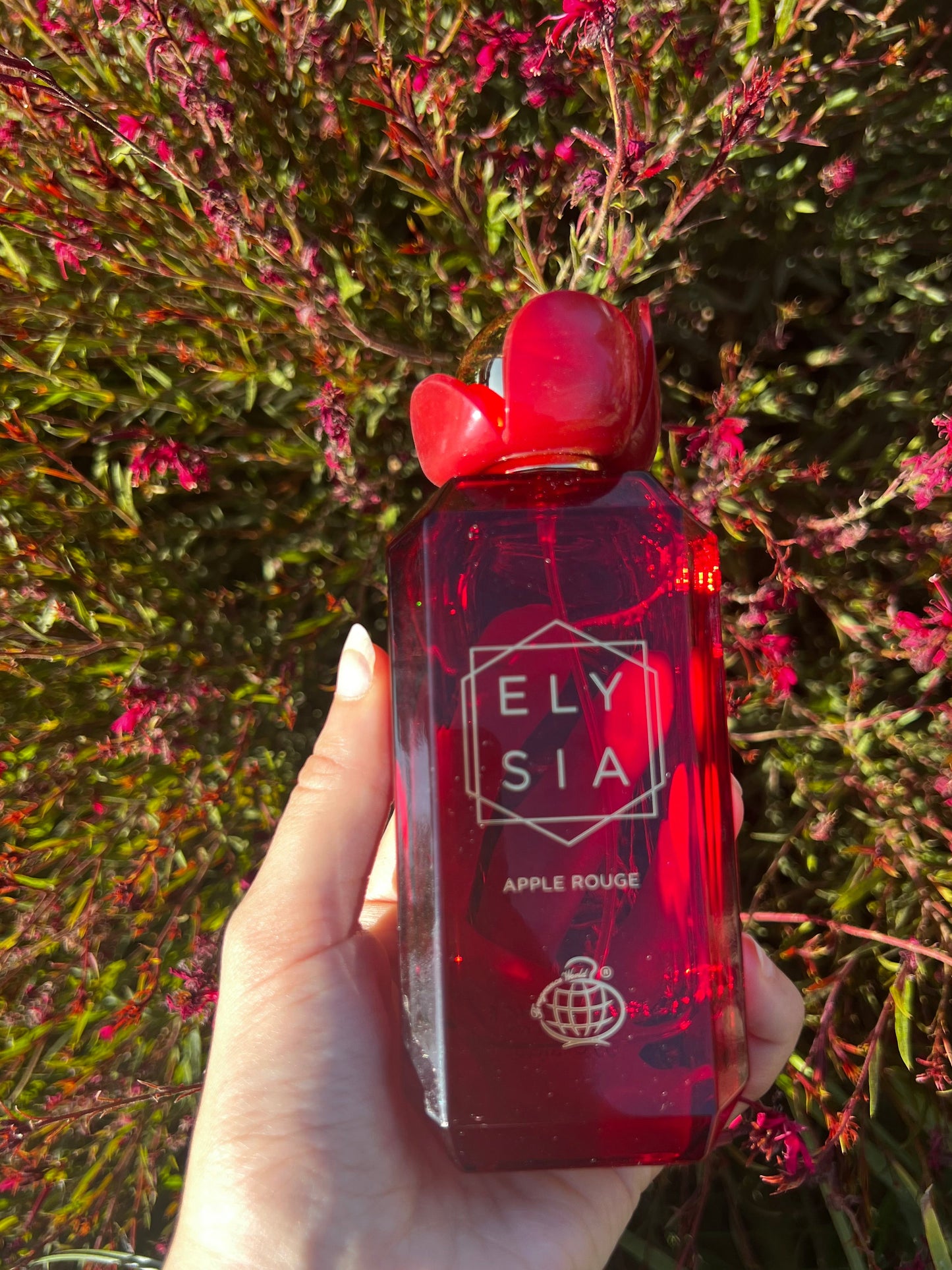 Elysia Apple rouge 100ml - 𝙄𝙣𝙨𝙥𝙞𝙧𝙖𝙩𝙞𝙤𝙣 𝙆𝙖𝙮𝙖𝙡𝙞 Eden juicy Apple